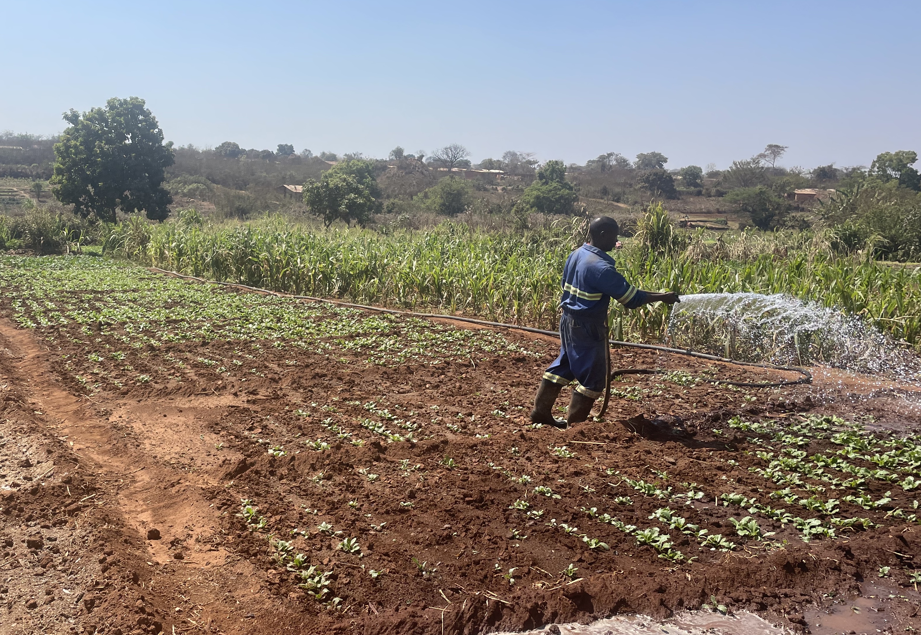 agriculture